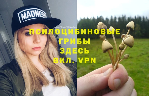 наркотики Новодвинск