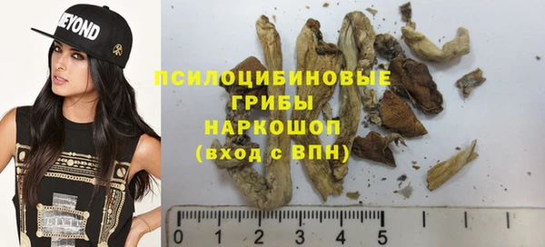 наркотики Новодвинск