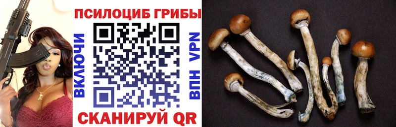 Галлюциногенные грибы Magic Shrooms  Белоярский 